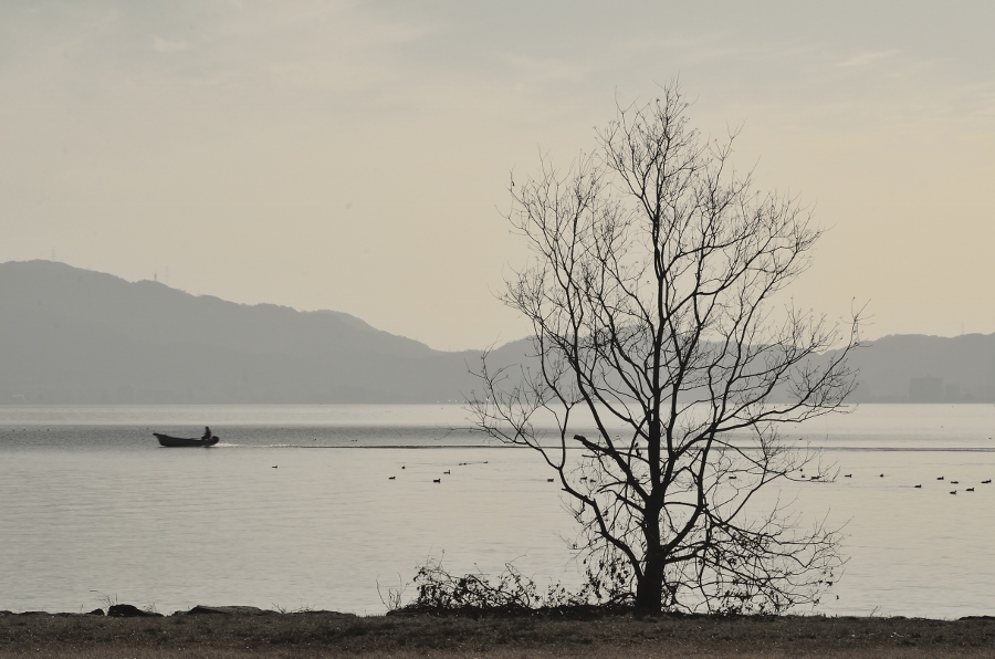 琵琶湖4 (900x596).jpg